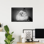 poster chaton à poupée (Bureau à domicile)