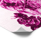 Poster CHATON AUX ROSES ,Rose Fuchsia Blanc (Coin)