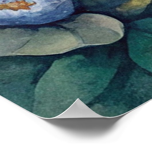 Poster Chaton bleu Eyed (Coin)