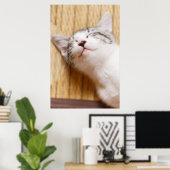 Poster Chaton couchant (Bureau à domicile)