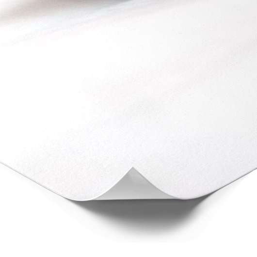 Poster Chaton couchant (Coin)