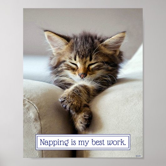 Poster Chaton couchant (Devant)