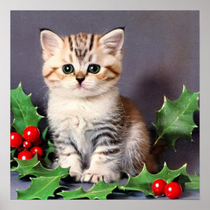 Poster Chaton de Noël vintage et houx