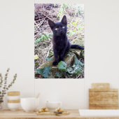 Poster Chaton noir (Cuisine)