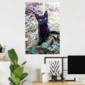 Poster Chaton noir (Bureau à domicile)