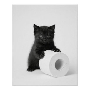 Poster Chaton noir bébé gardant un rouleau de papier toil