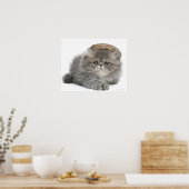 Poster Chaton perse (2 mois) en paille (Cuisine)
