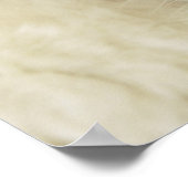 Poster Chaton Ragdoll (Coin)