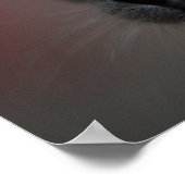 Poster chaton siamois (Coin)