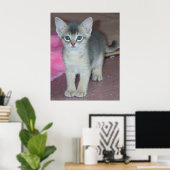 Poster Chaton Six Semaines (Bureau à domicile)