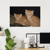 Poster Chatons (Bureau à domicile)