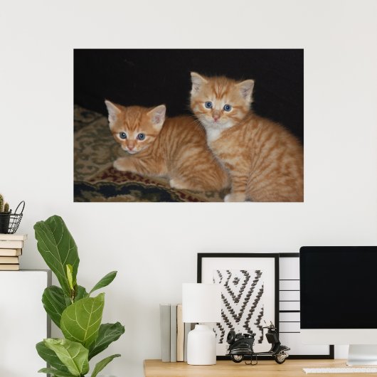 Poster Chatons (Bureau à domicile)
