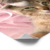 Poster Chatons à Tutus (Coin)