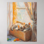 Poster Chatons confortables dormant dans la lumière du so (Devant)