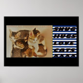 Poster Chatons dans la photo de repos original (Devant)