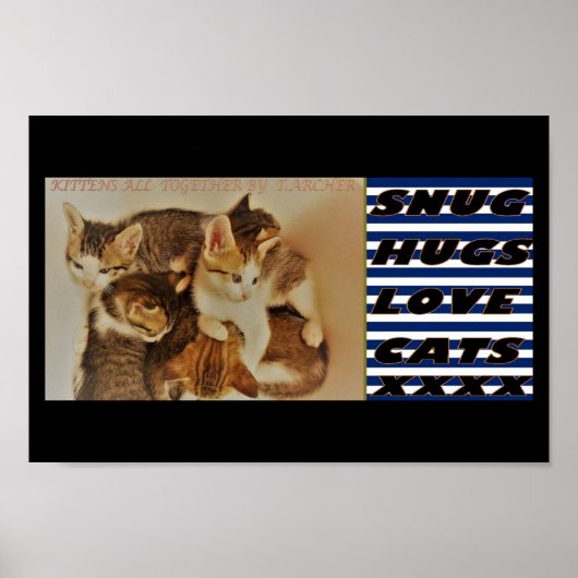 Poster Chatons dans la photo de repos original (Devant)