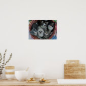 Poster Chatons Dans Un Panier (Cuisine)