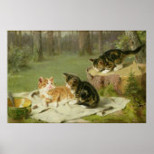 Poster Chatons Jouer (Devant)