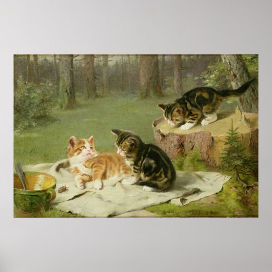 Poster Chatons Jouer (Devant)