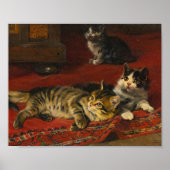 Poster Chatons | Julius Adam le Jeune (Devant)