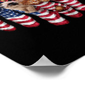 Poster Chatons patriotiques dans des chaussettes de drape (Coin)
