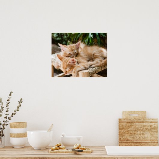 Poster Chats (Cuisine)