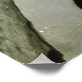 Poster Chats, 17ème siècle (encre sur soie) (Coin)