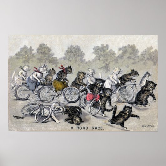 Poster Chats à vélo (Devant)