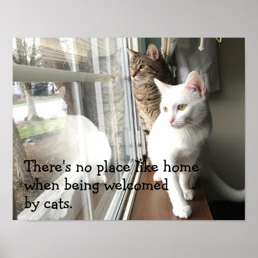 Poster Chats assis près de la fenêtre (Devant)