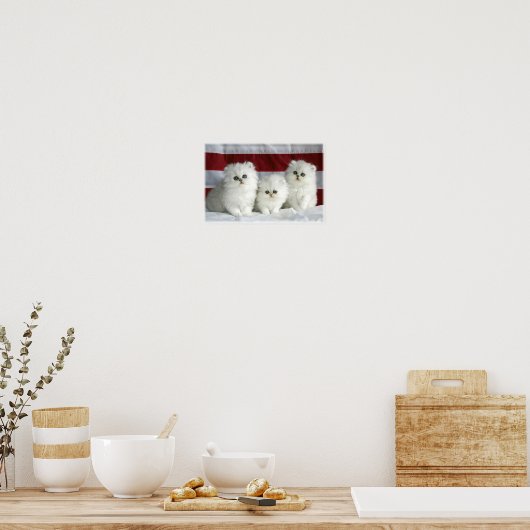 Poster Chats blancs (Cuisine)