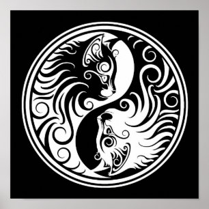 Poster Chats blancs et noirs de Yin Yang