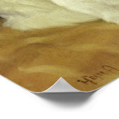 Poster Chats blancs observant le poisson rouge (Coin)