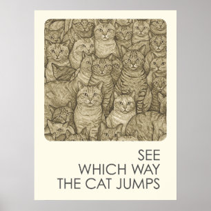 Poster Chats bondés - proverbes