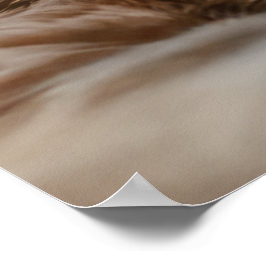 Poster Chats cool à Paris (Coin)