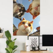Poster Chats curieux regardant vers le bas (Bureau à domicile)