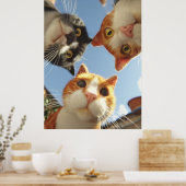 Poster Chats curieux regardant vers le bas (Cuisine)