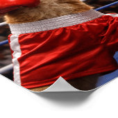 Poster Chats de boxe (Coin)
