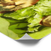 POSTER CHATS DE LA SAINT-PATRICK D'UNE DRÔLE DE MODE AVEC (Coin)