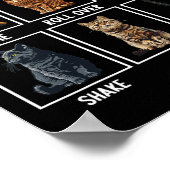 Poster Chats Drôle Chat Tricks (Coin)