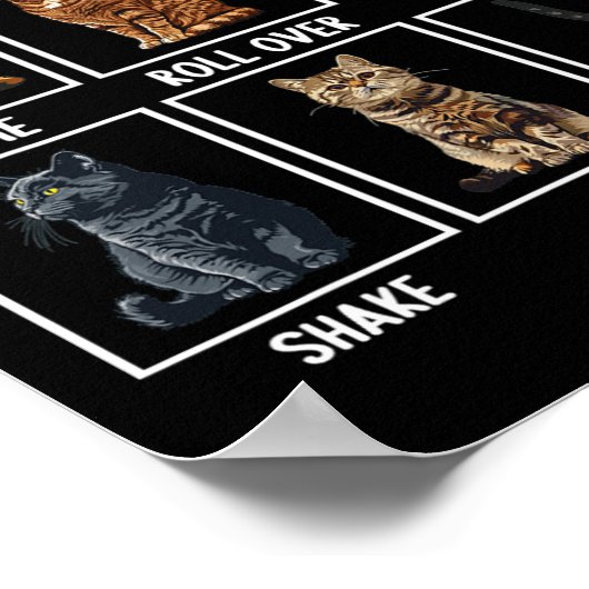 Poster Chats Drôle Chat Tricks (Coin)