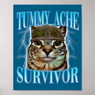 Poster Chats drôles disant Survivant de mal de ventre Cha