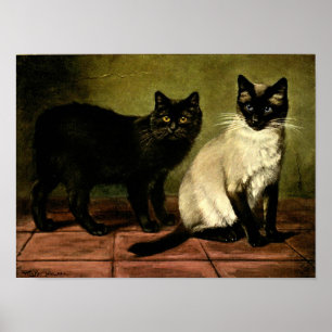Poster Chats en noir et blanc