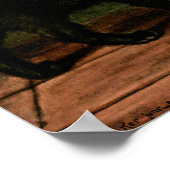 Poster Chats en noir et blanc (Coin)