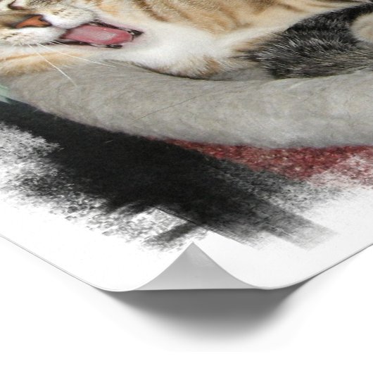 Poster Chats endormis (Coin)