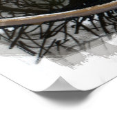 Poster Chats et chiens (Coin)