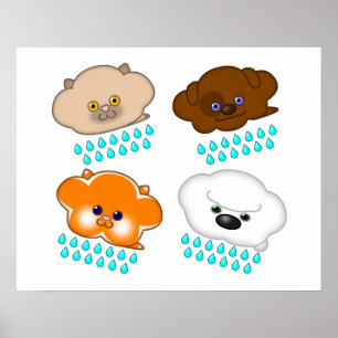 Poster Chats et chiens en pluie