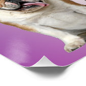 Poster Chats et chiens mignons Bienvenue (Coin)