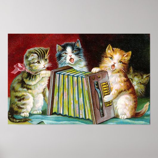 Poster "Chats et une Squeezebox" (Devant)
