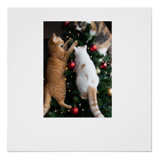 Poster Chats grimpant dans l'arbre de Noël (Devant)