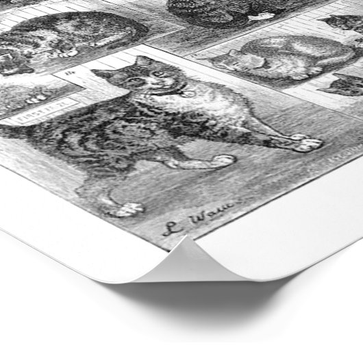 Poster Chats, Louis Wain (Coin)